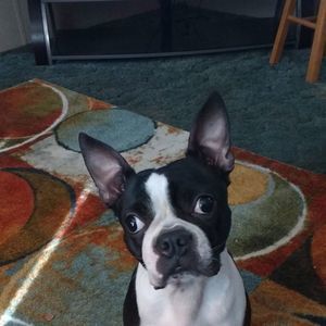 Meet your Posher, Cheryl